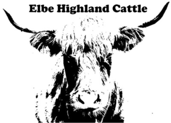 Elbe Highland Cattle Burger